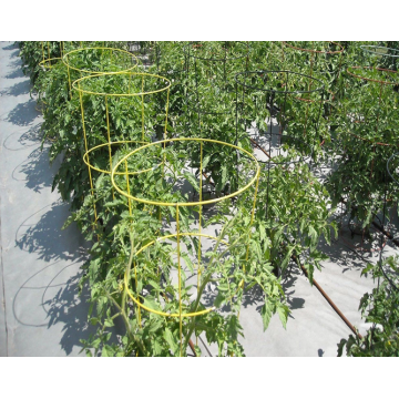 pe coated garden tomato support climbing plant support for vegetables